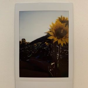 Meet your Posher, Lexi